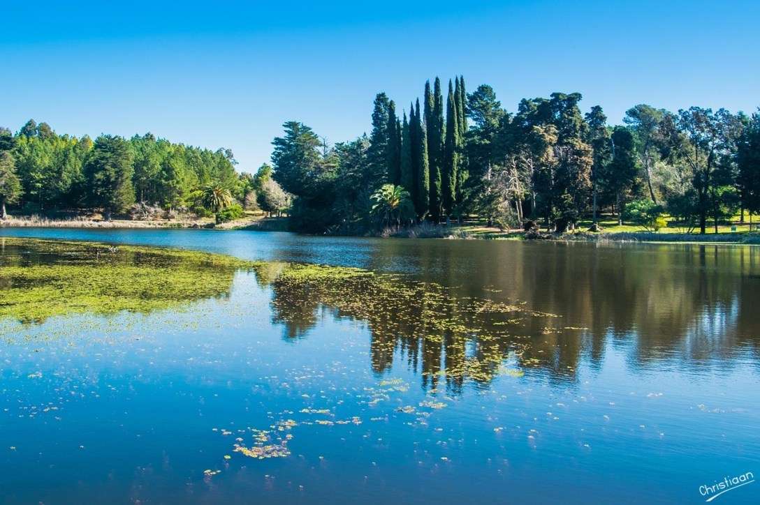 湖、木々、自然。 ジグソーパズルオンライン