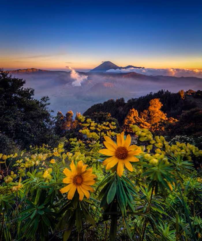 意見 ジグソーパズルオンライン