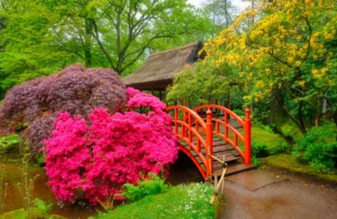 日本の庭 ジグソーパズルオンライン