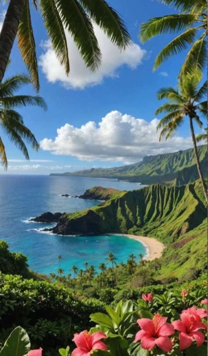 パラダイスビュー オンラインパズル