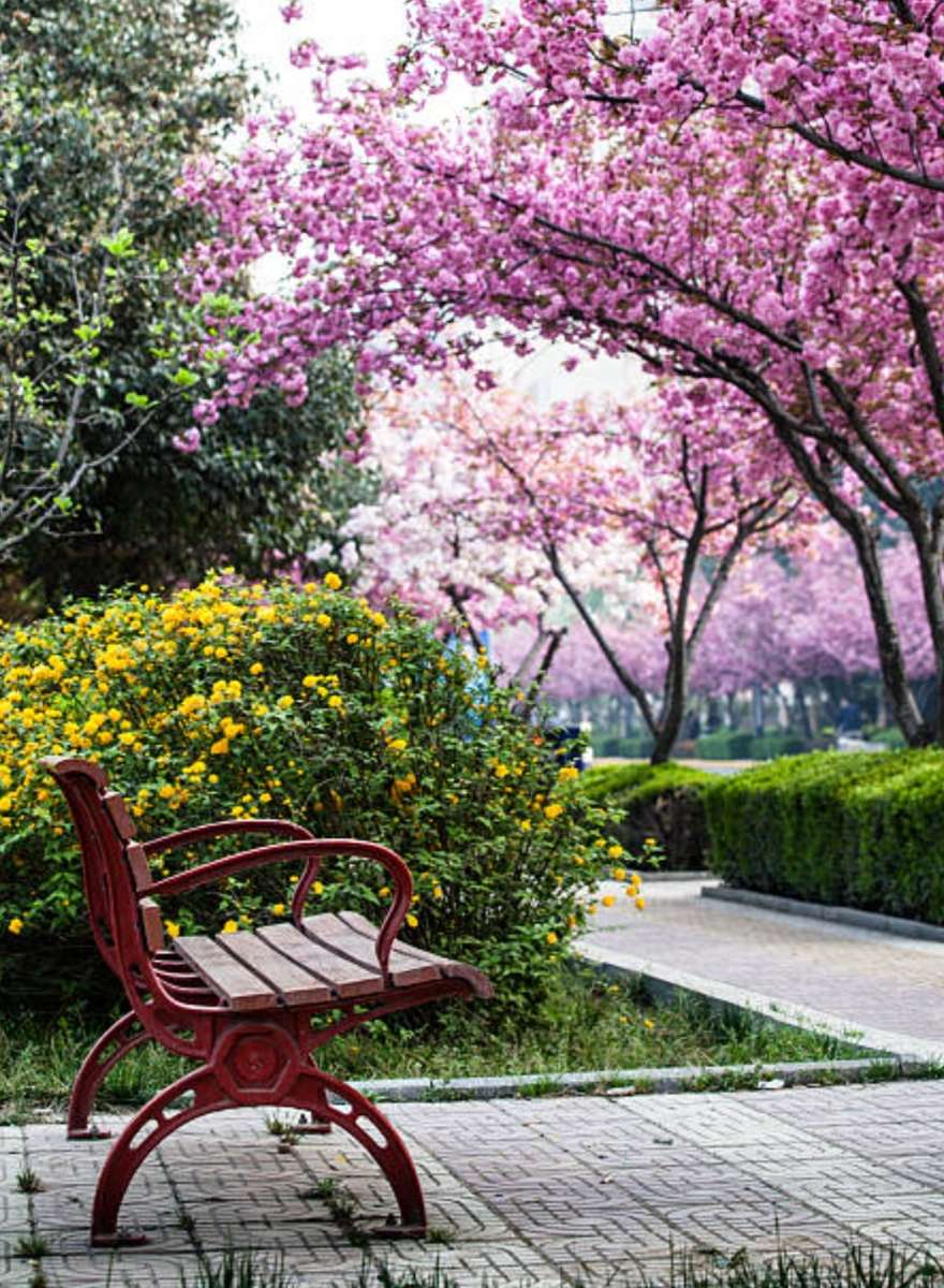 アジアの春 ジグソーパズルオンライン