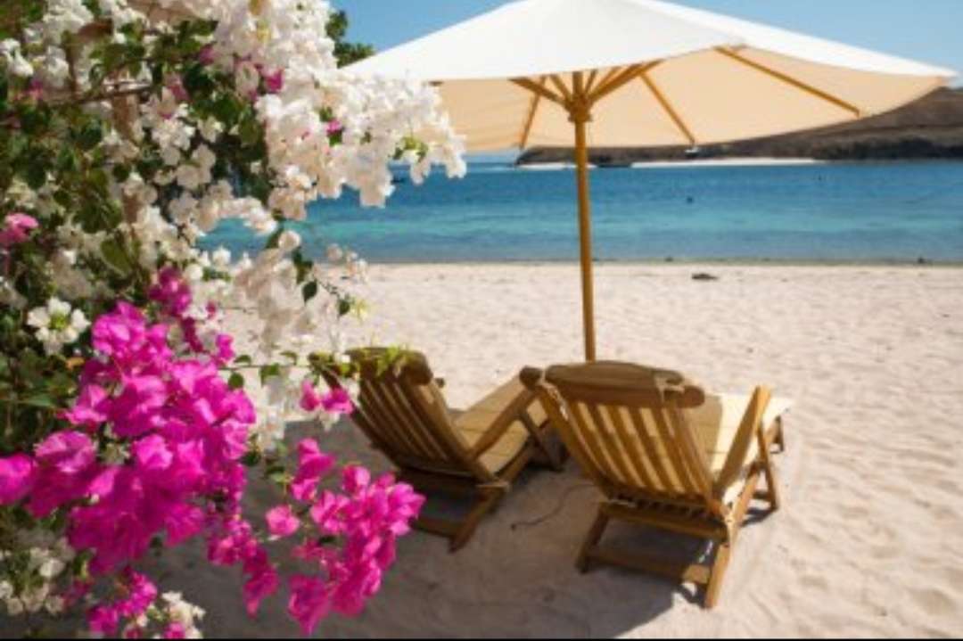 花のあるビーチ ジグソーパズルオンライン