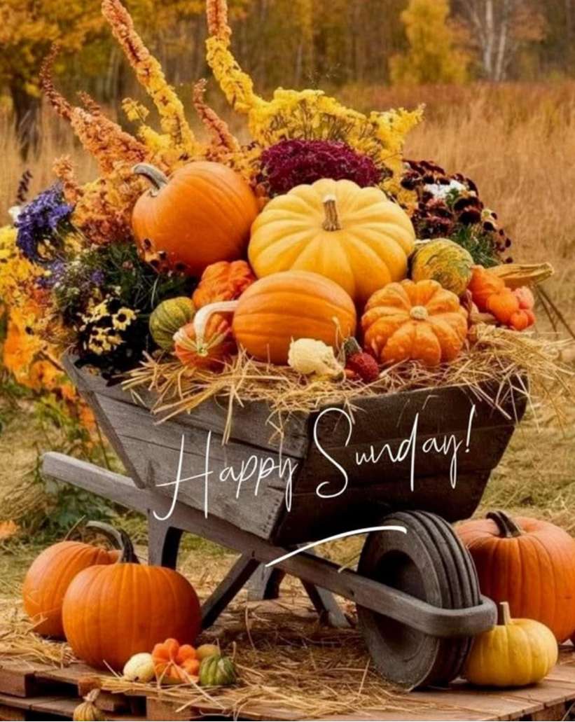 素敵な秋の日曜日をお過ごしください。 オンラインパズル