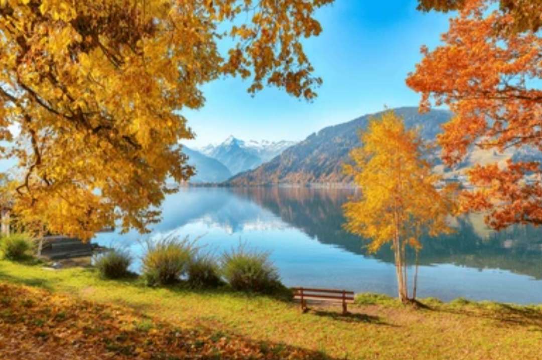 オータムパーク ジグソーパズルオンライン