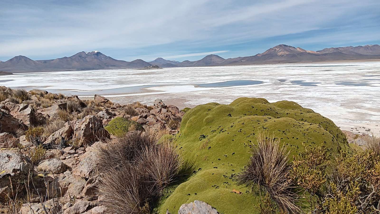 チリの塩田スリレ オンラインパズル