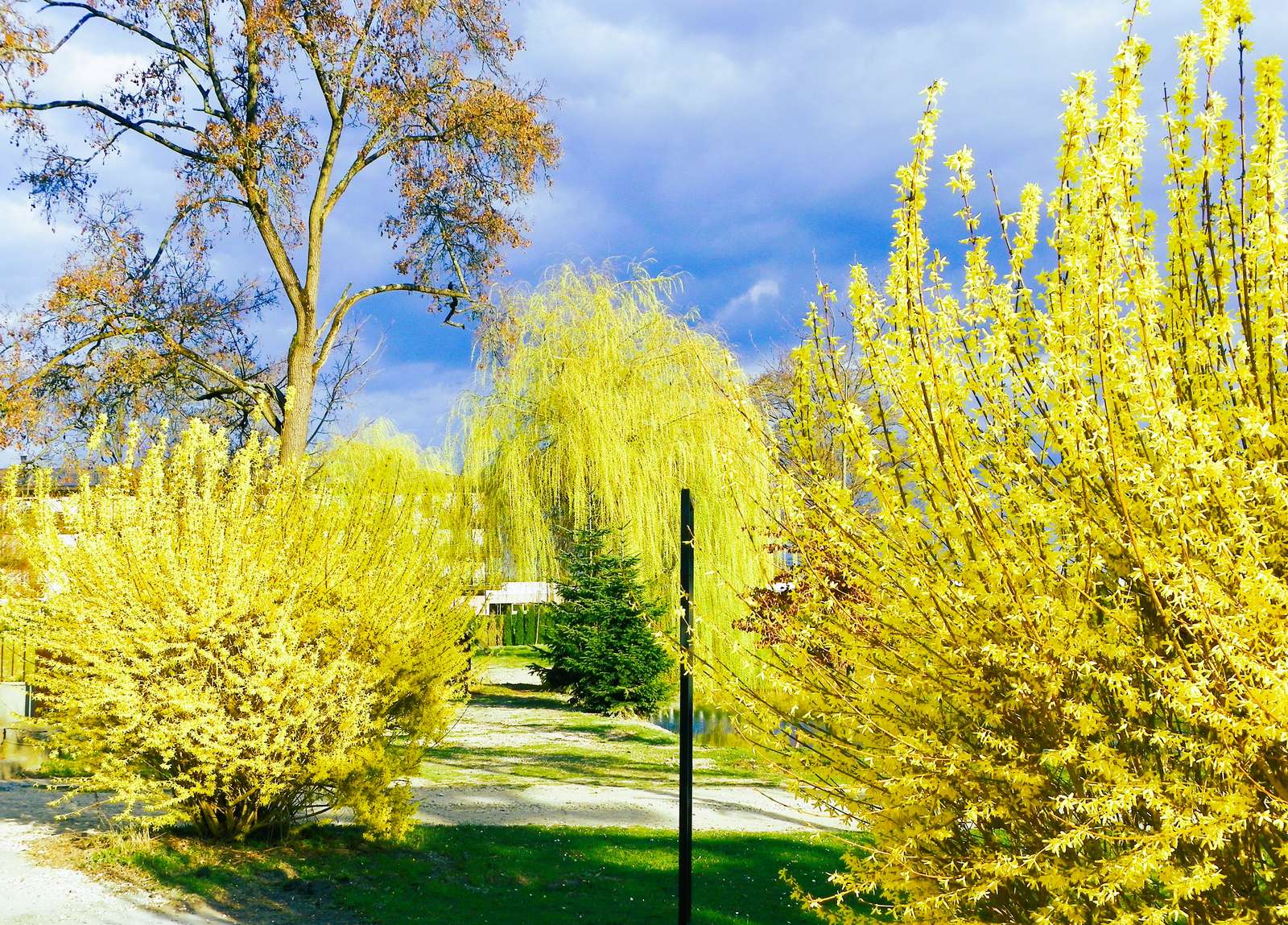Весна в Солеце онлайн-пазл