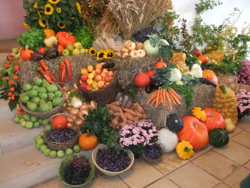 家の前の野菜の秋の装飾 オンラインパズル