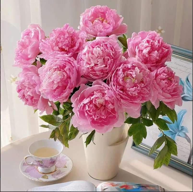 美しい牡丹 オンラインパズル