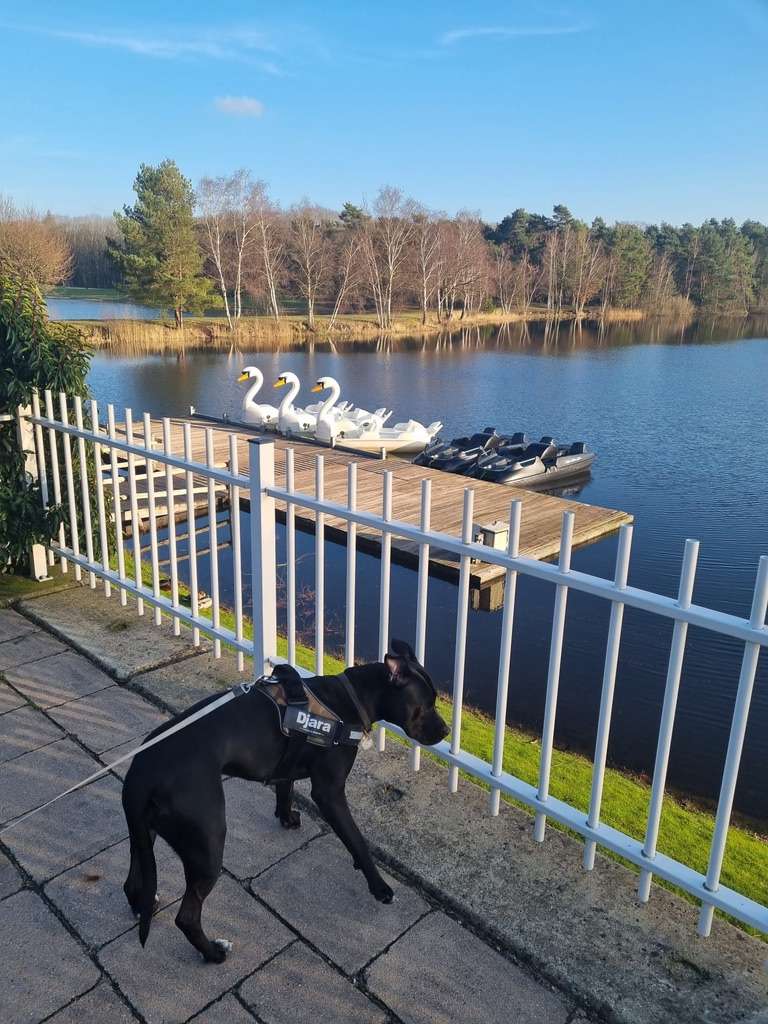 ミエルロ公園 ジグソーパズルオンライン