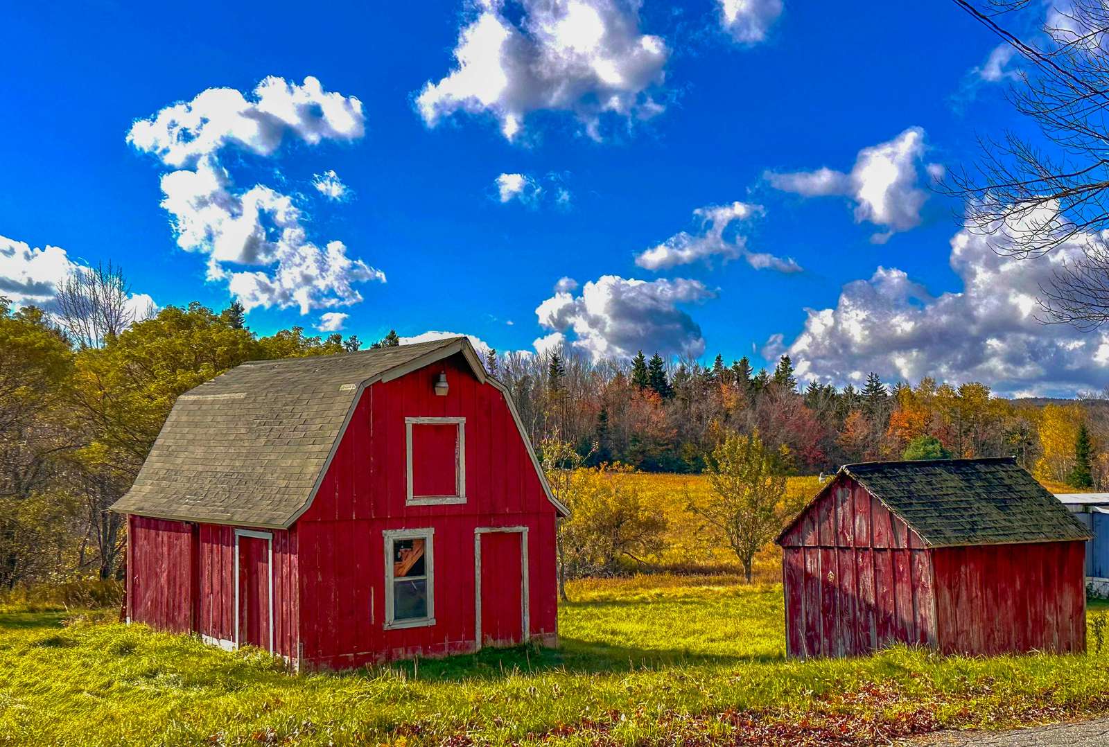 マサチューセッツ州サボイ オンラインパズル