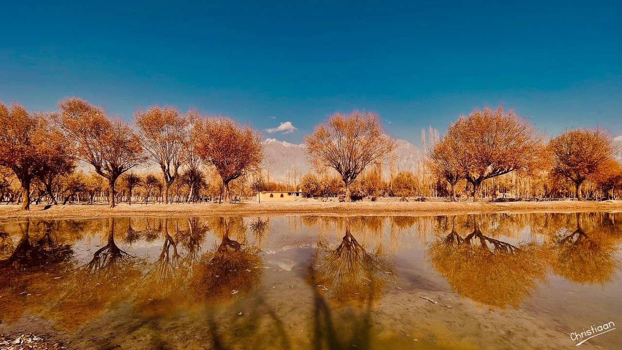 湖、自然、秋の木々。 オンラインパズル