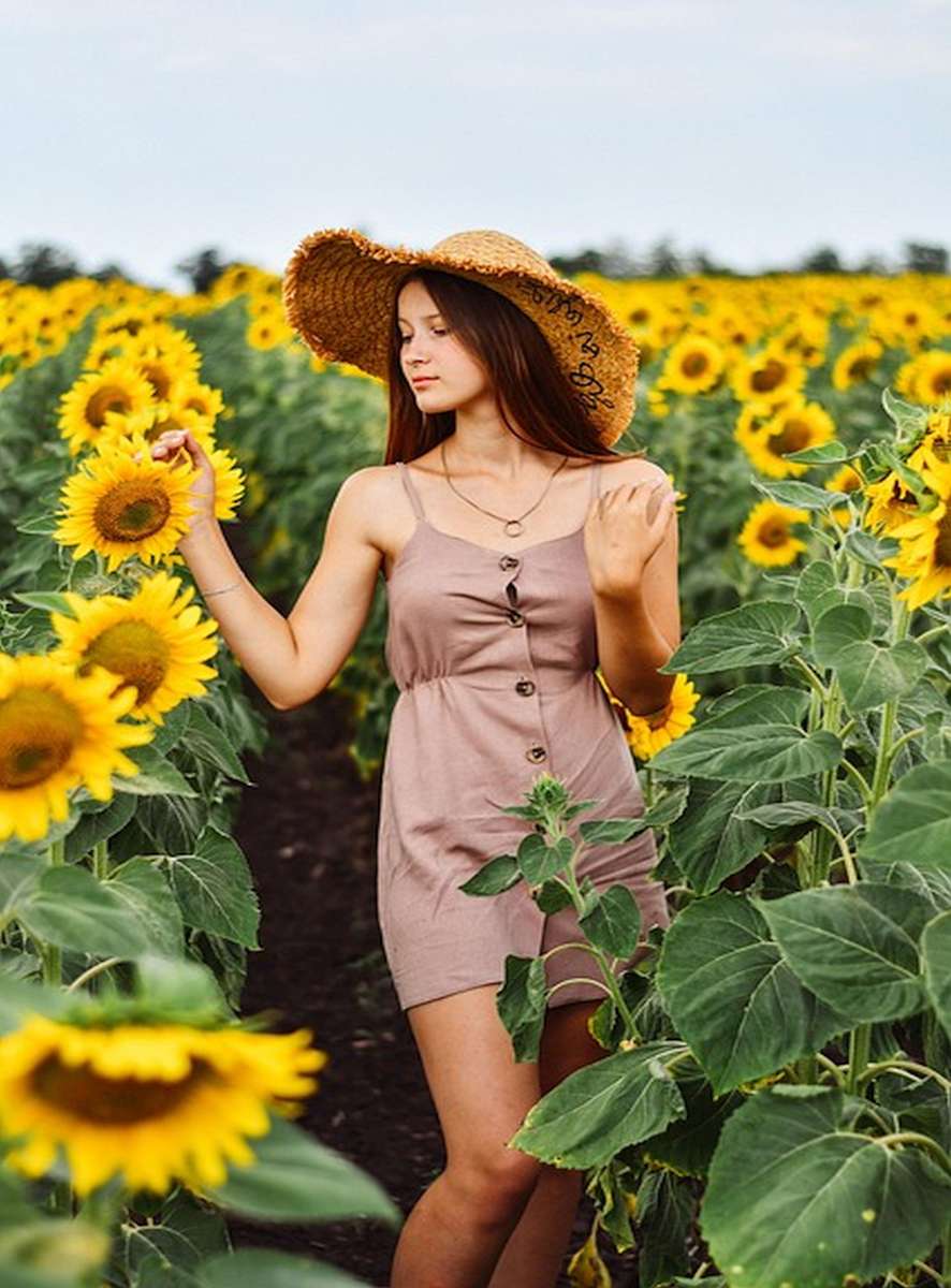 ひまわりで オンラインパズル