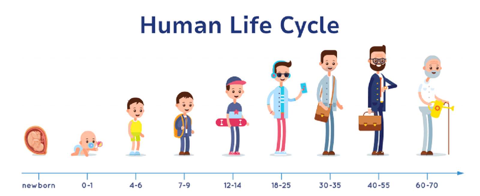 人間のライフサイクル ジグソーパズルオンライン