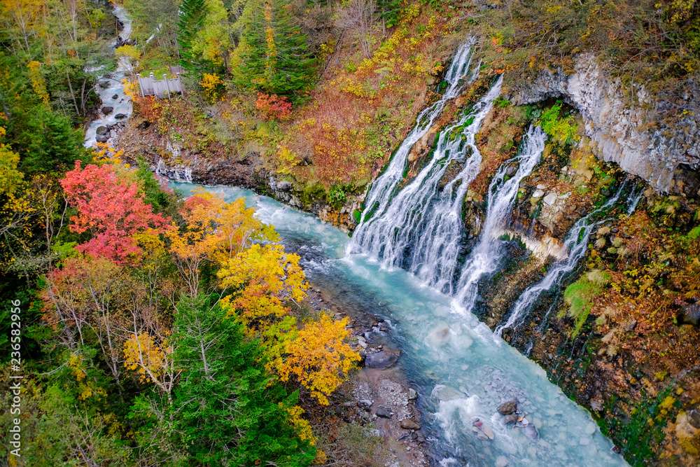 白ひげの滝 日本 ジグソーパズルオンライン