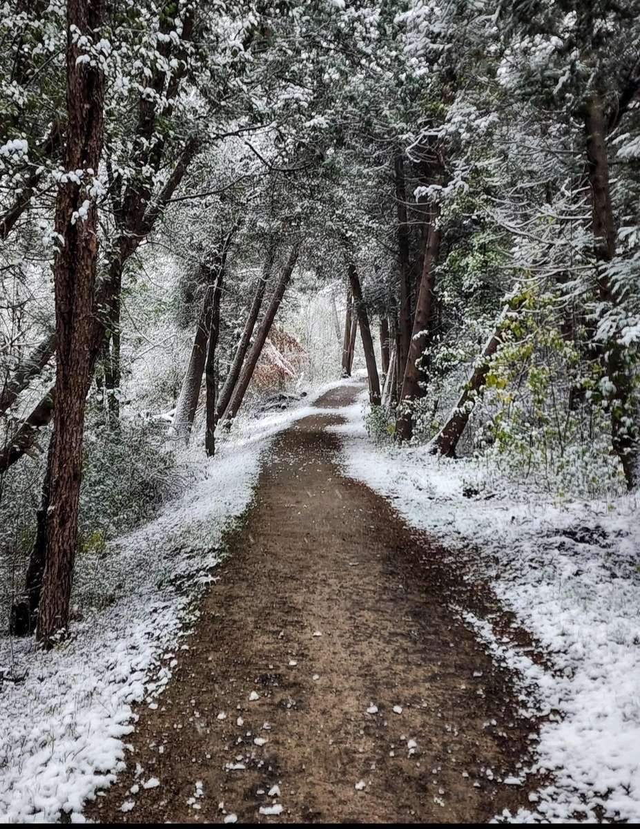 冬の風景 ジグソーパズルオンライン