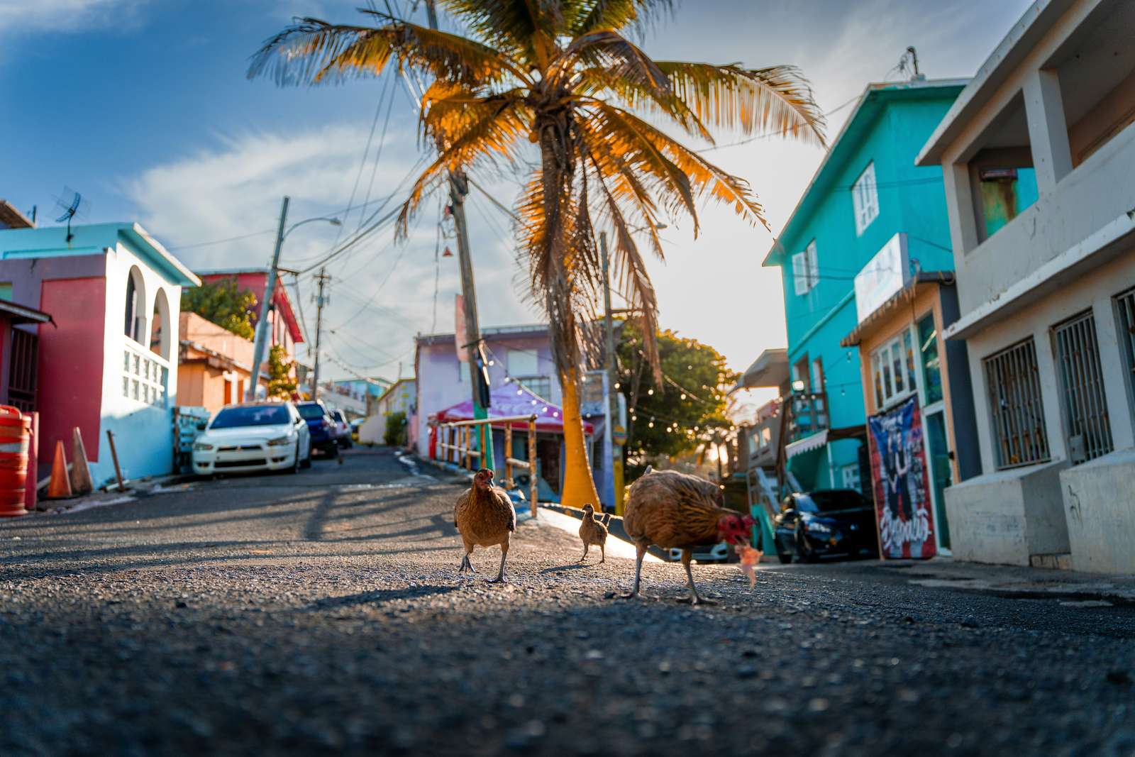 ラ ペルラ、サンファン、プエルトリコ オンラインパズル