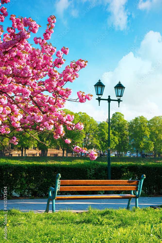 咲くマグノリアとベンチ ジグソーパズルオンライン