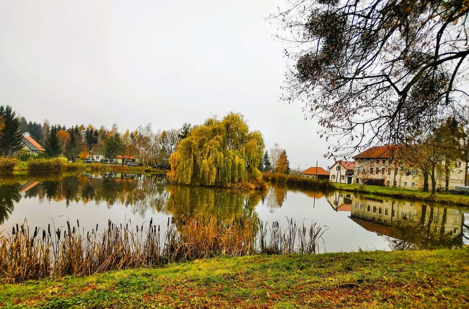 Nad stawem puzzle online