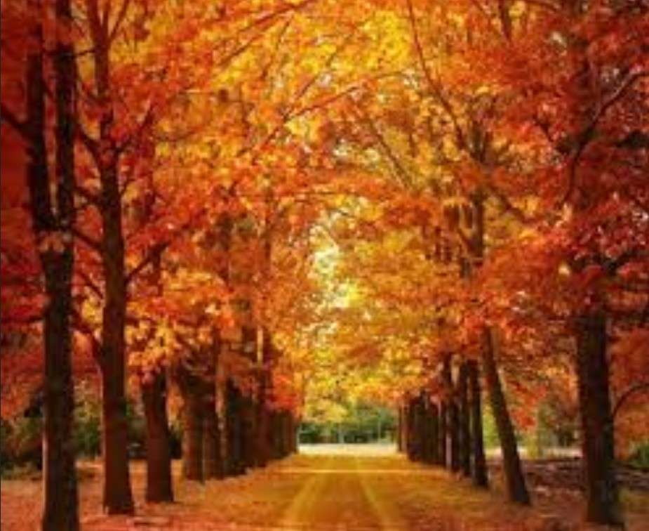 秋の風景 ジグソーパズルオンライン