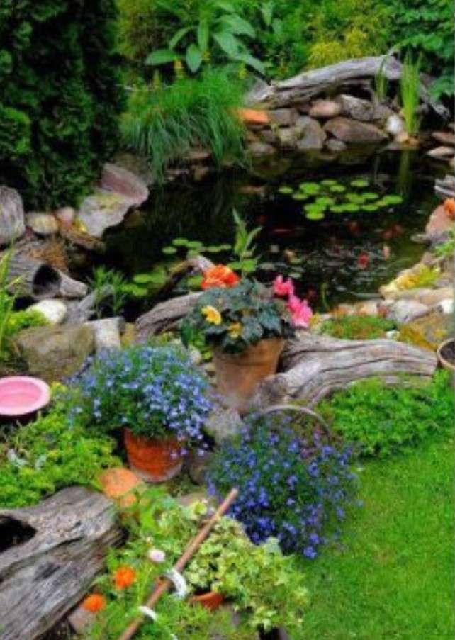 美しい池 オンラインパズル