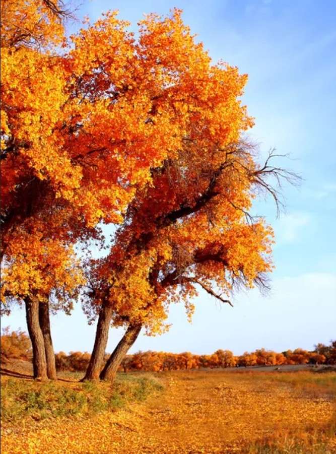 秋の風景 オンラインパズル