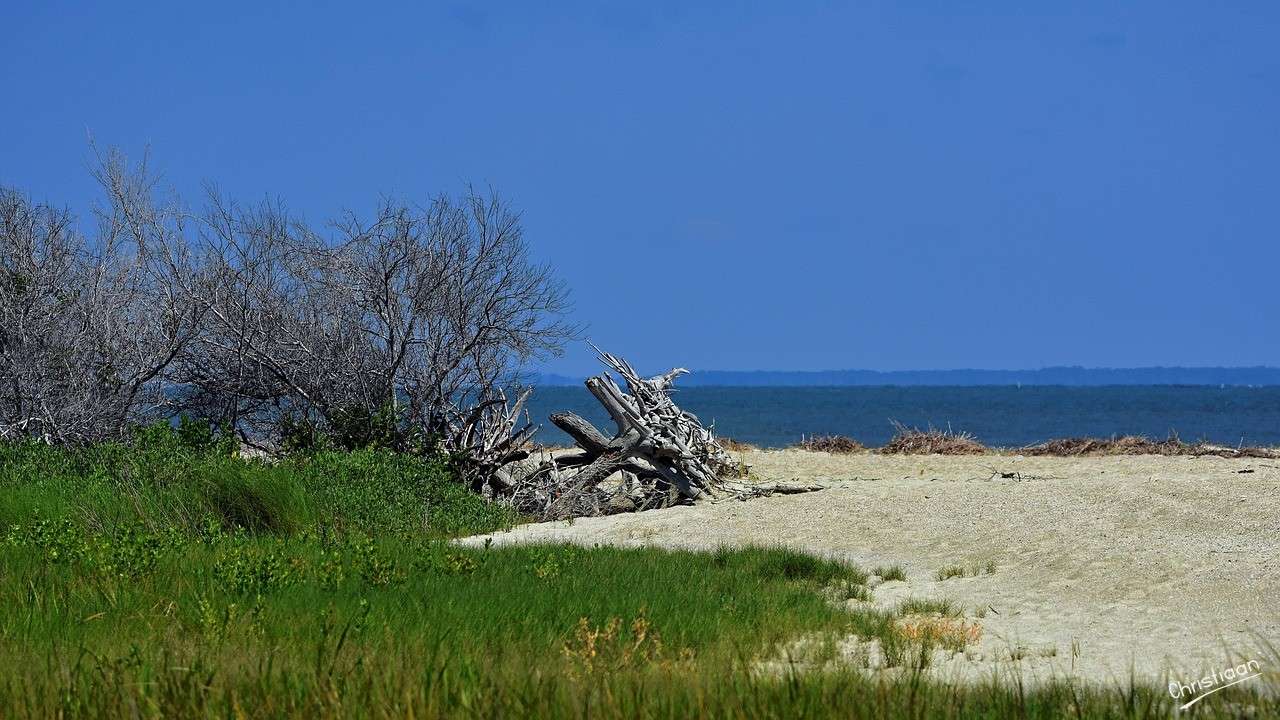ビーチ、青い空。 オンラインパズル