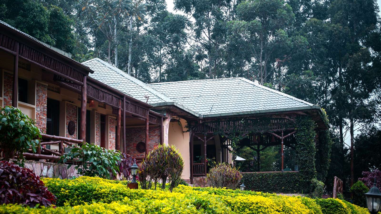 シルバーバック・ロッジ、ブウィンディ、ウガンダ ジグソーパズルオンライン