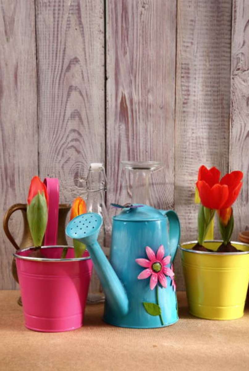 じょうろと鉢植えの花 オンラインパズル