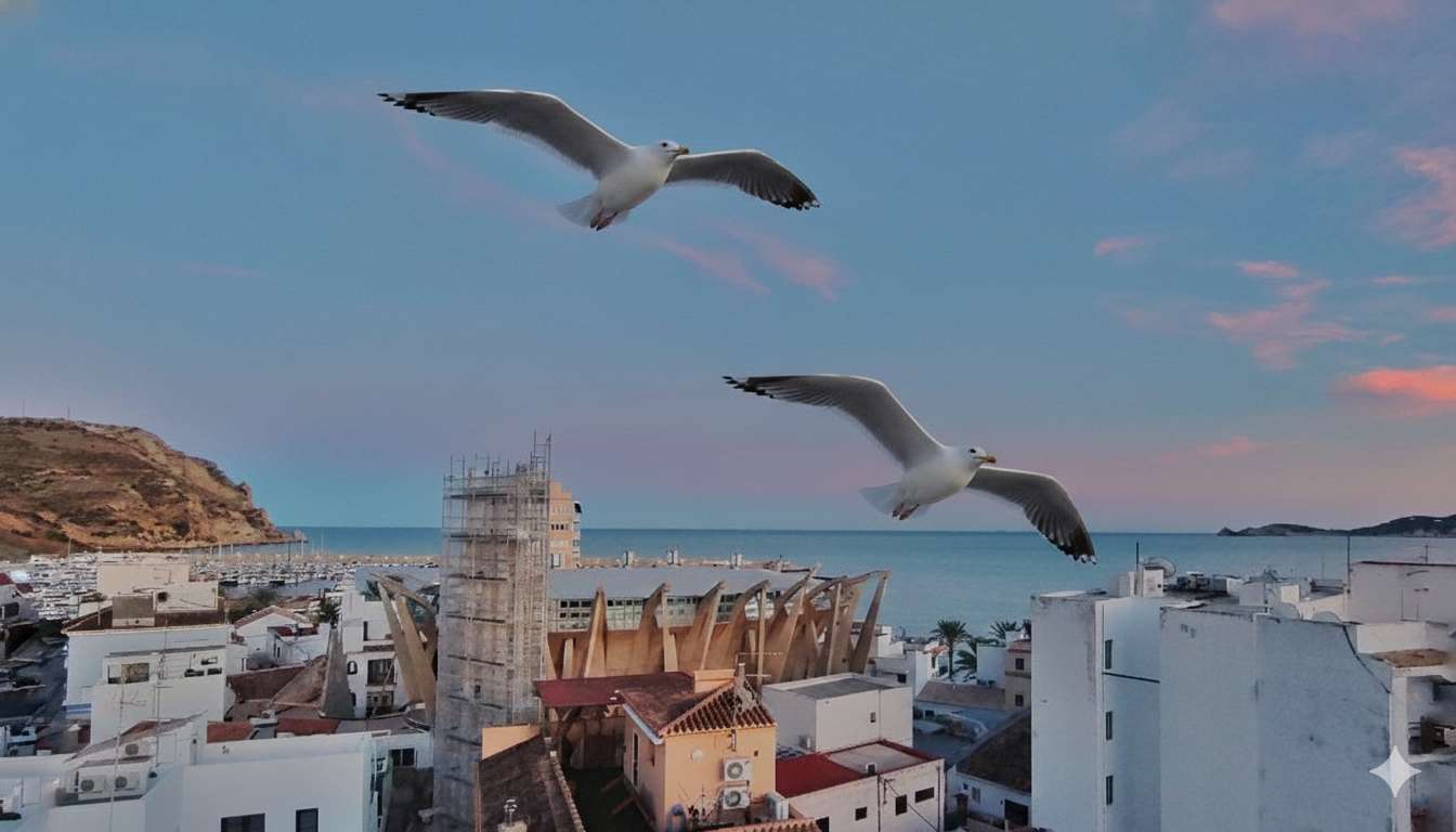 カモメ ジグソーパズルオンライン