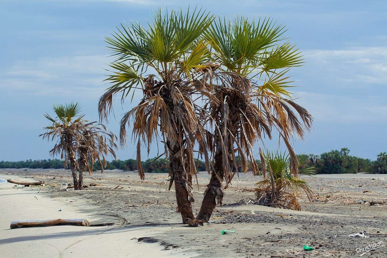 砂、ビーチ、海岸。 オンラインパズル