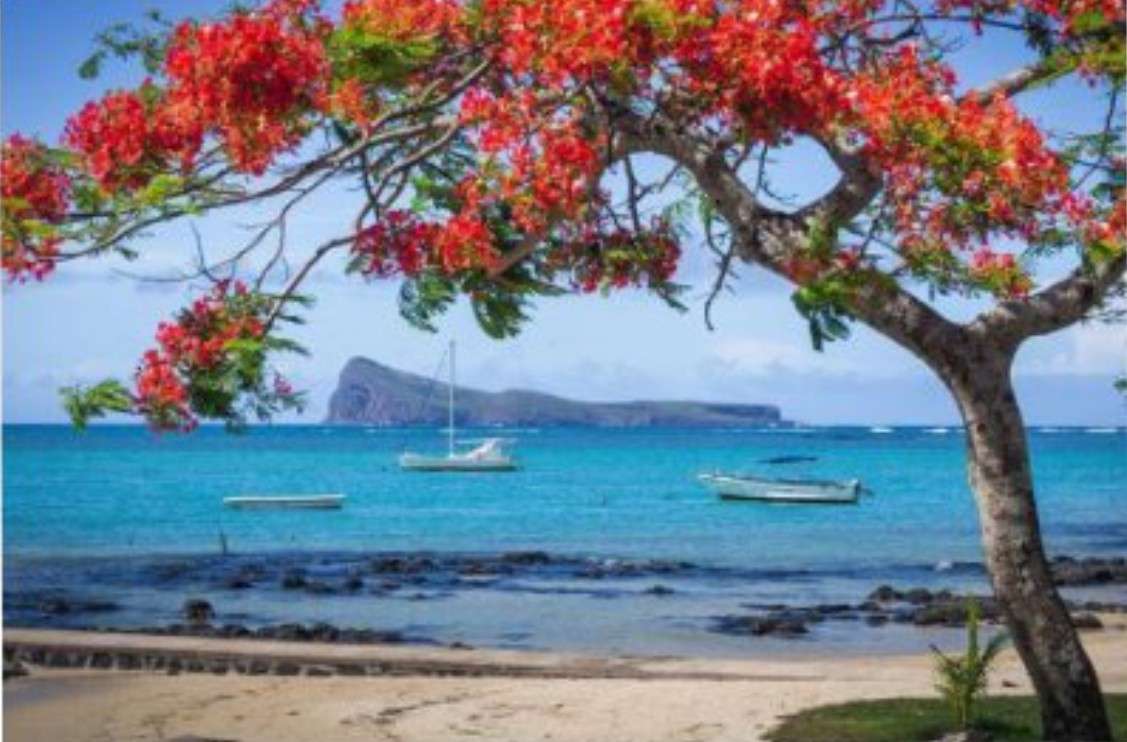 キャップ・マリュー・ビーチ、モーリシャス オンラインパズル