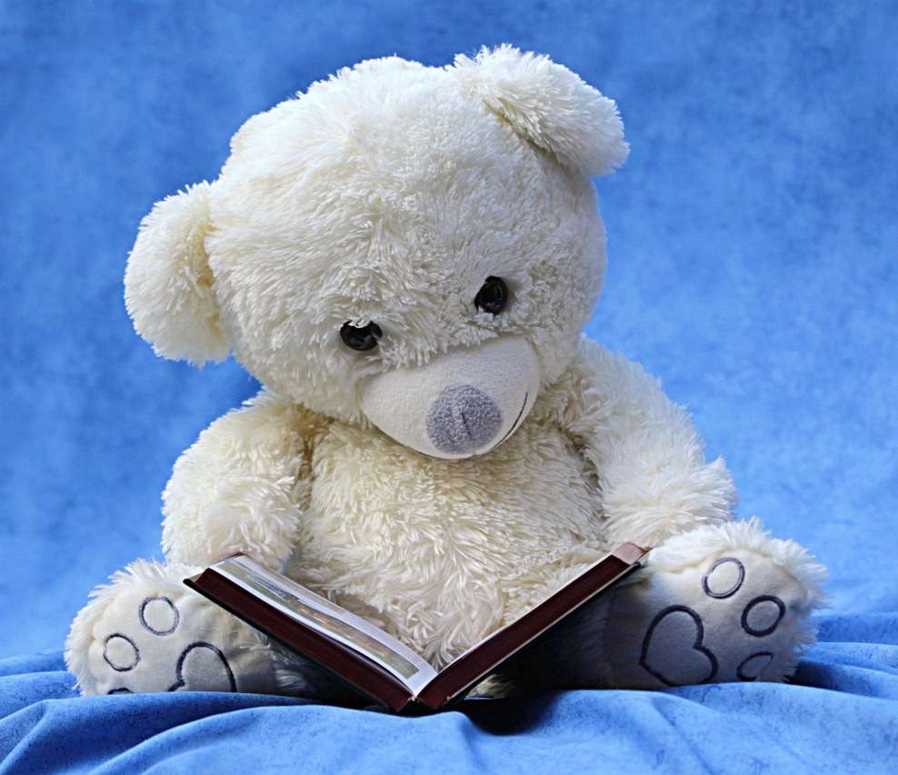 Teddy mackó rejtvények gyerekeknek online puzzle