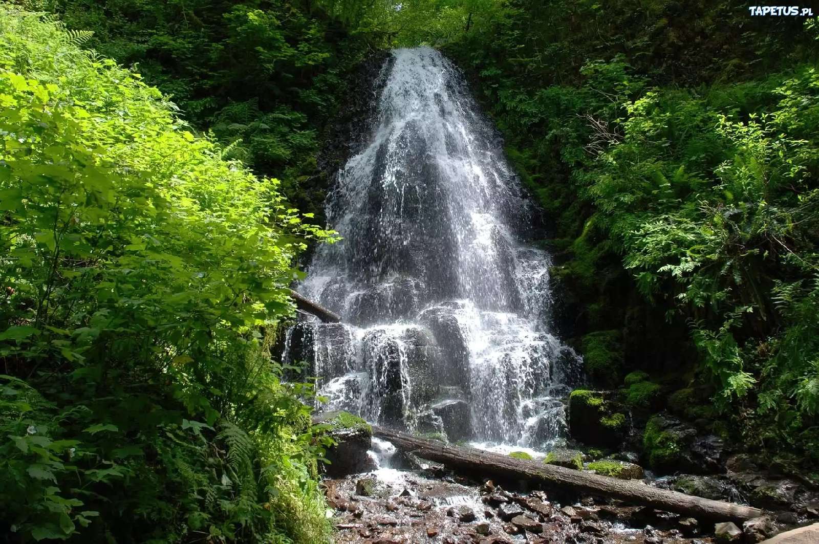 フェアリー フォールズ、オレゴン州、米国 ジグソーパズルオンライン