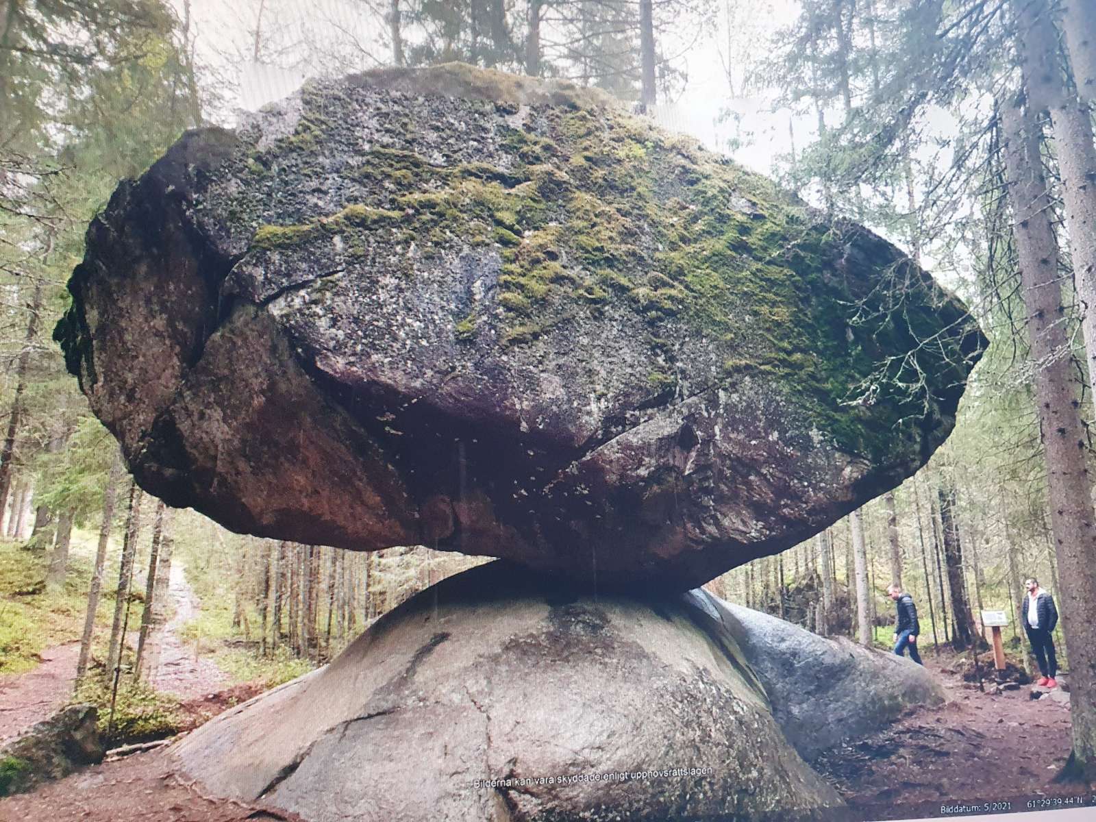 Kumma Kiwi online puzzle