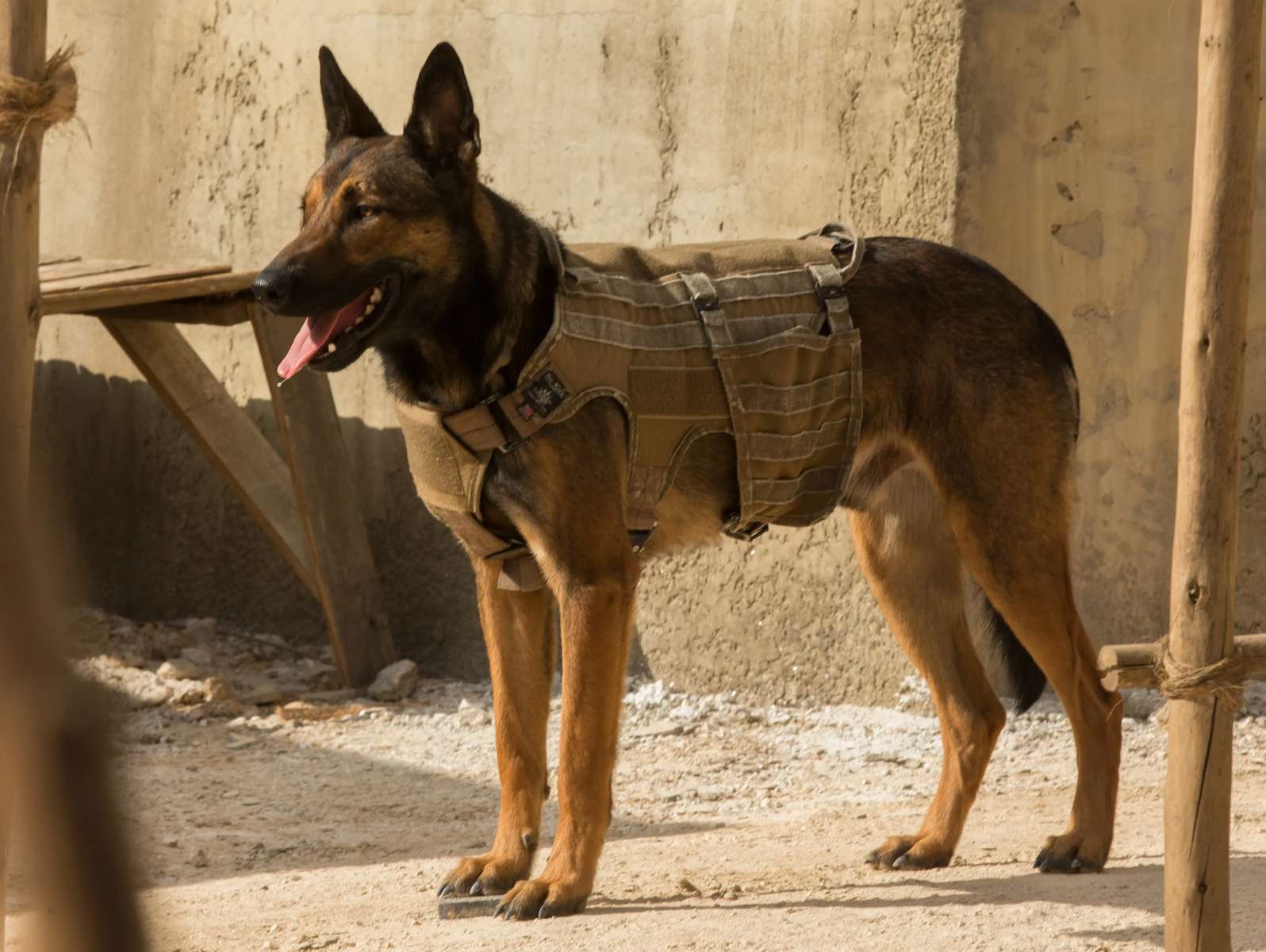 Max németjuhász kirakós online