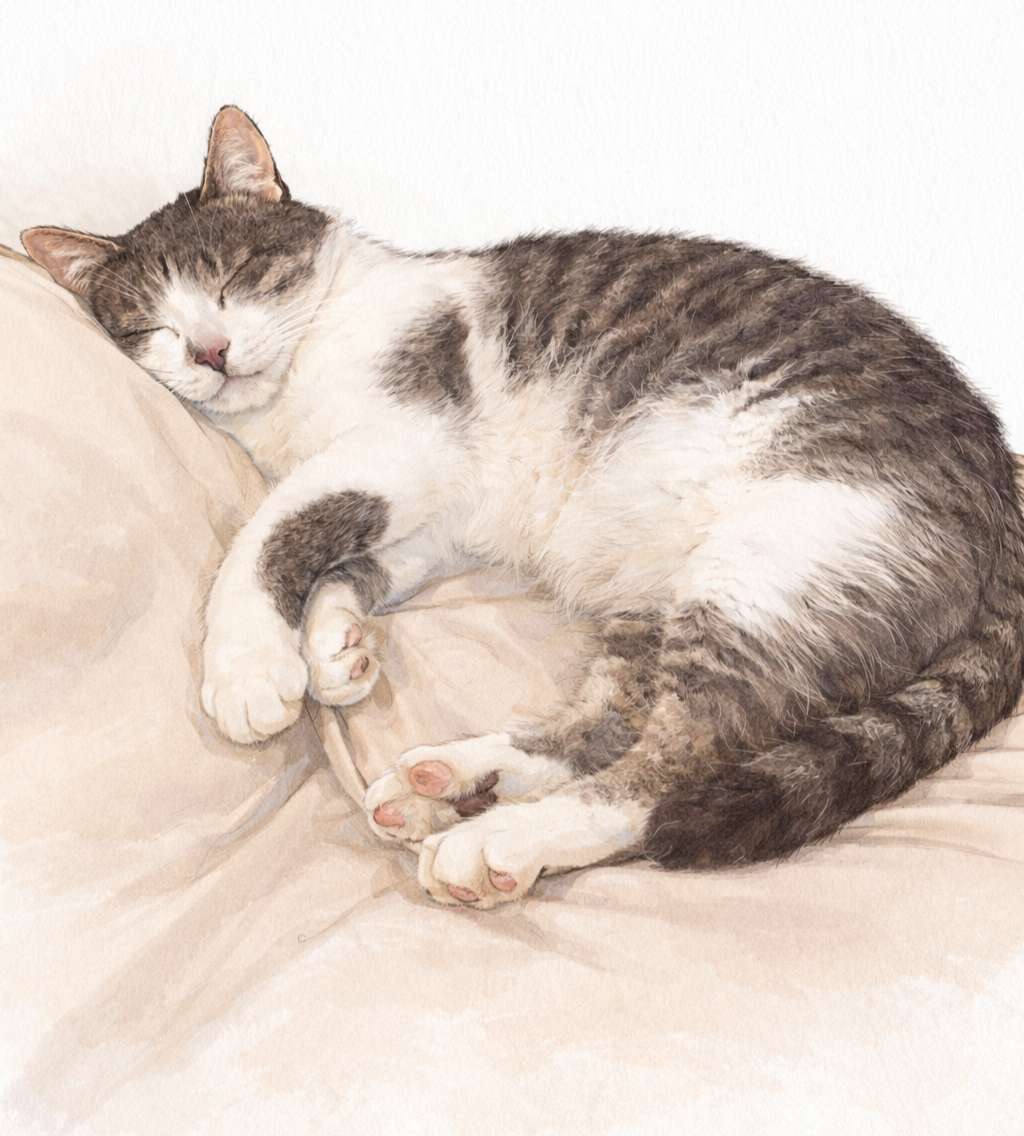 Slapende kat legpuzzel online