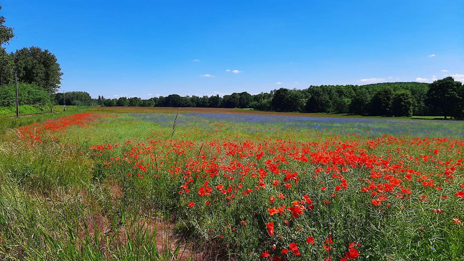 Frühling in Mikołów Puzzlespiel online