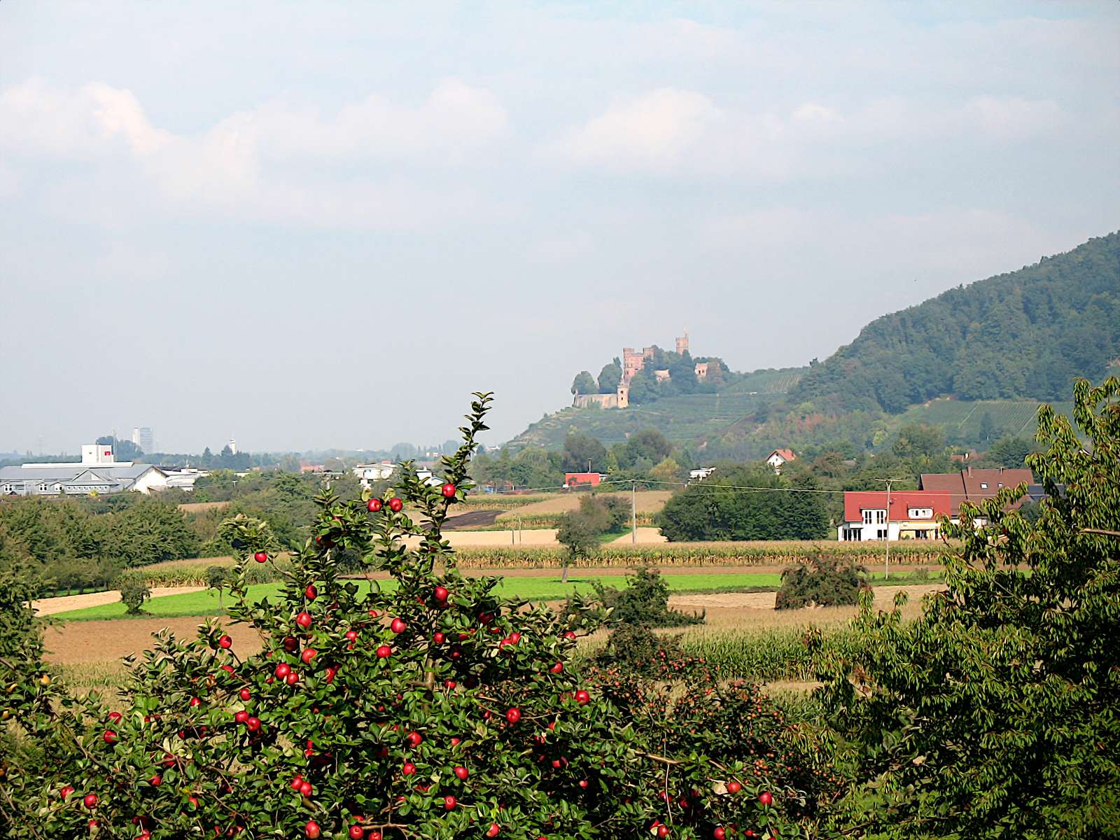 Ubytovna pro mládež na zámku online puzzle