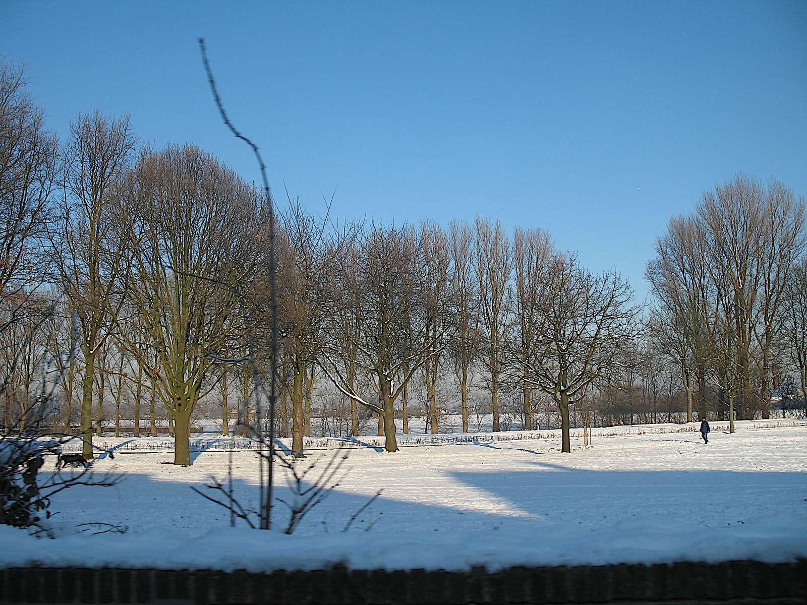 Zima na Dolním Rýnu online puzzle