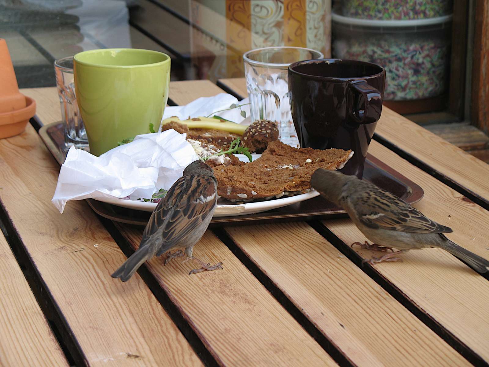 Vrabci u snídaně skládačky online