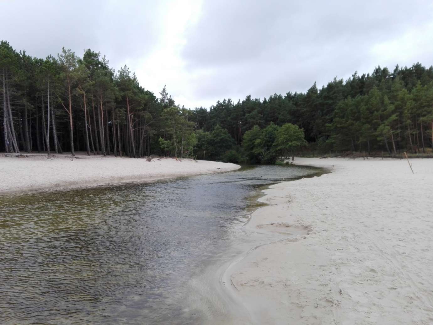 Río pintoresco en la playa rompecabezas en línea