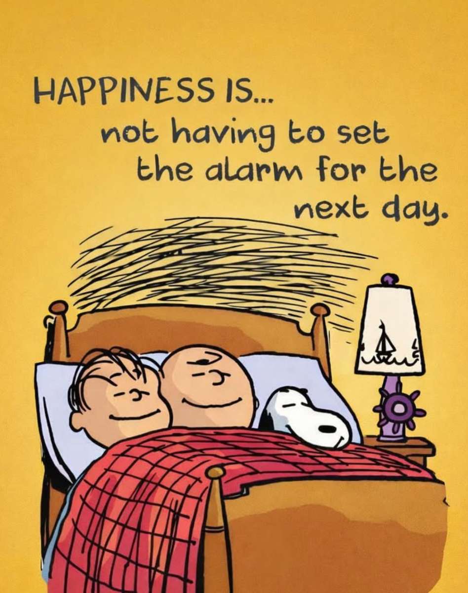 Щастието прилича на почивка, смях и дрямка онлайн пъзел