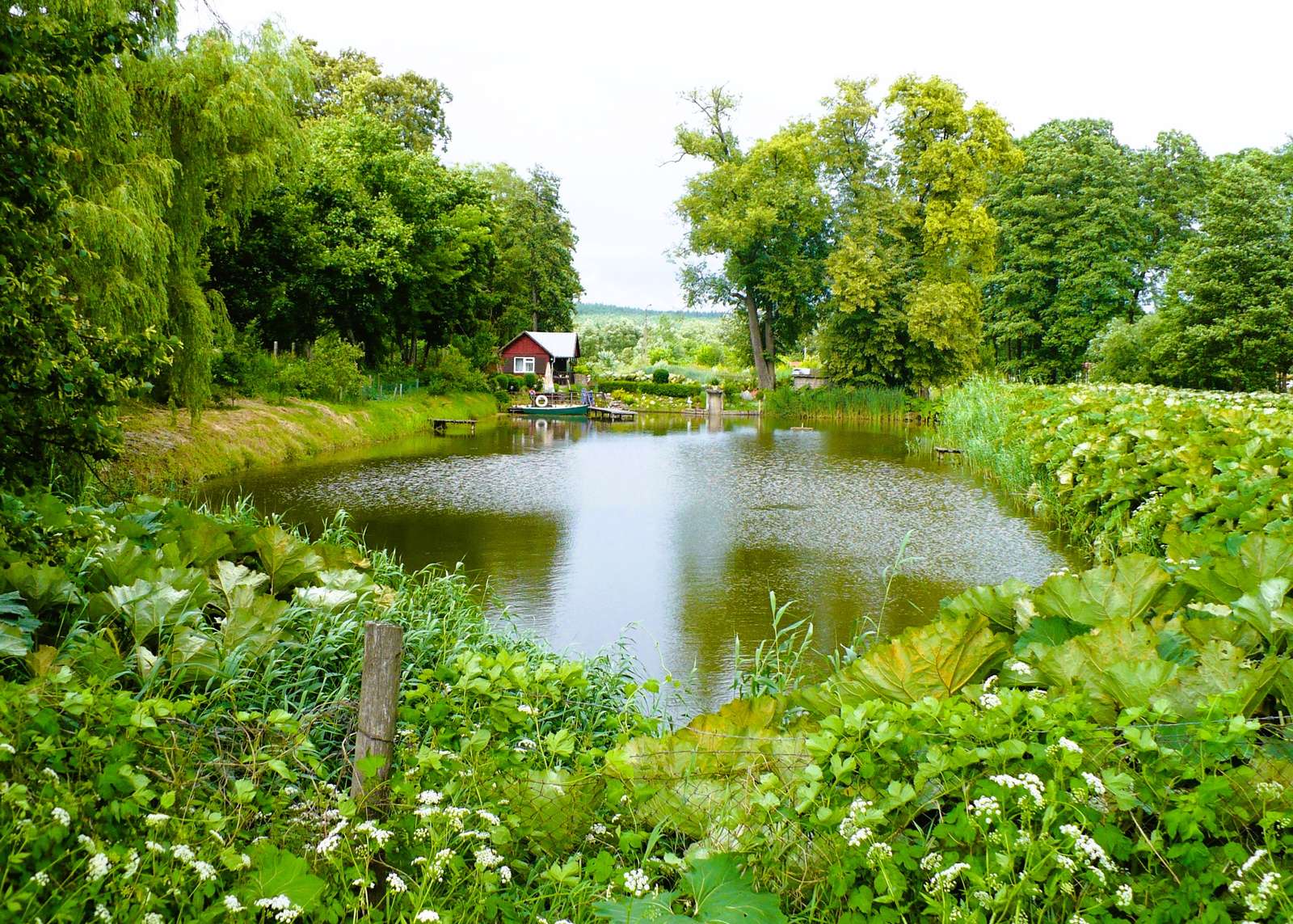 Pond in Sokółka online puzzle