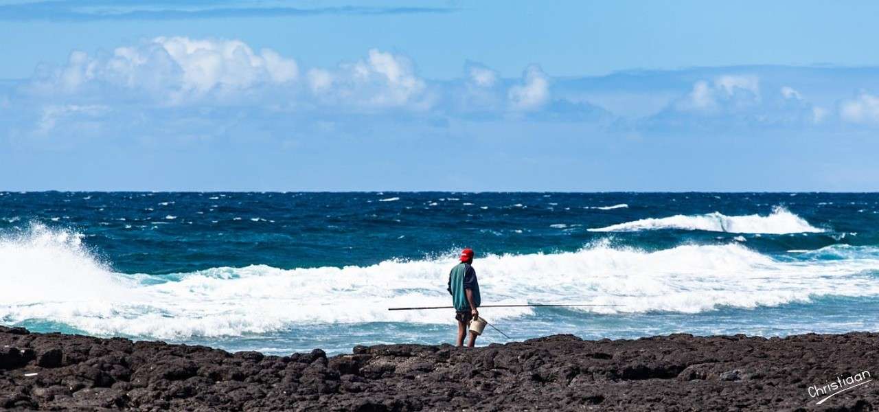 Mauritius, Kustlijn, Uitzicht op zee. online puzzel