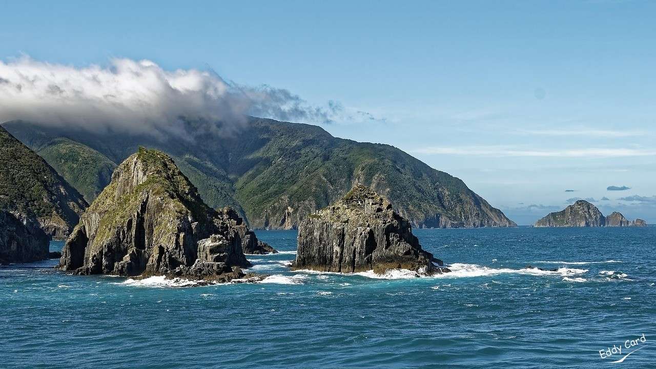 Nový Zéland, Cookova ulice, ostrov Arapawa. skládačky online