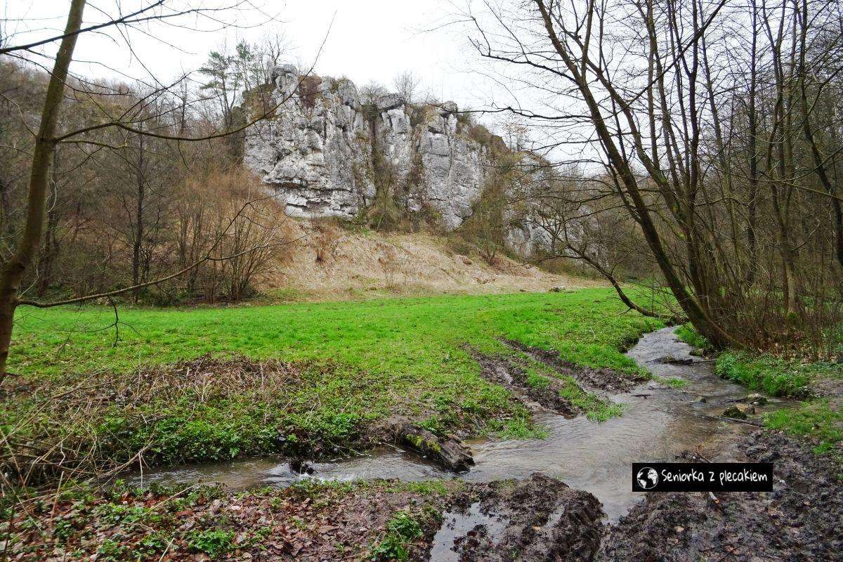 A festői szépségű Kluczwody-völgy kirakós online