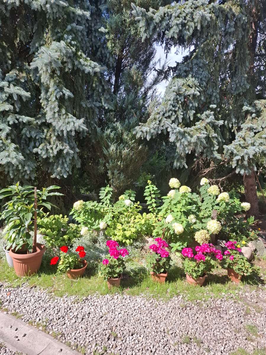 πηγή σε οικόπεδο κοντά στο Λοτζ παζλ online