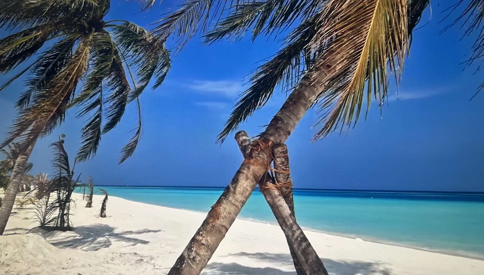 Palmen am Strand Puzzlespiel online