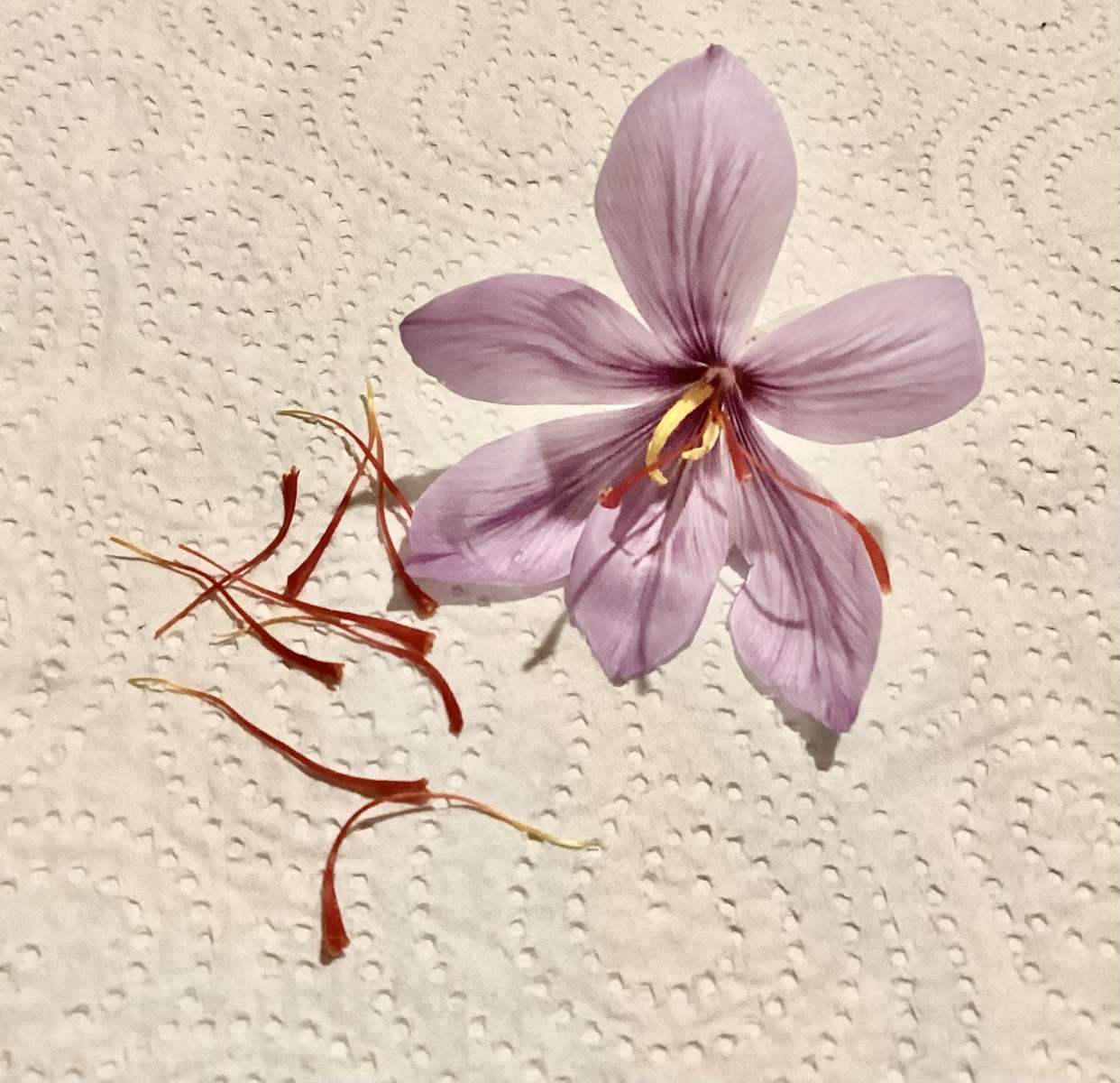 Krokussen legpuzzel online