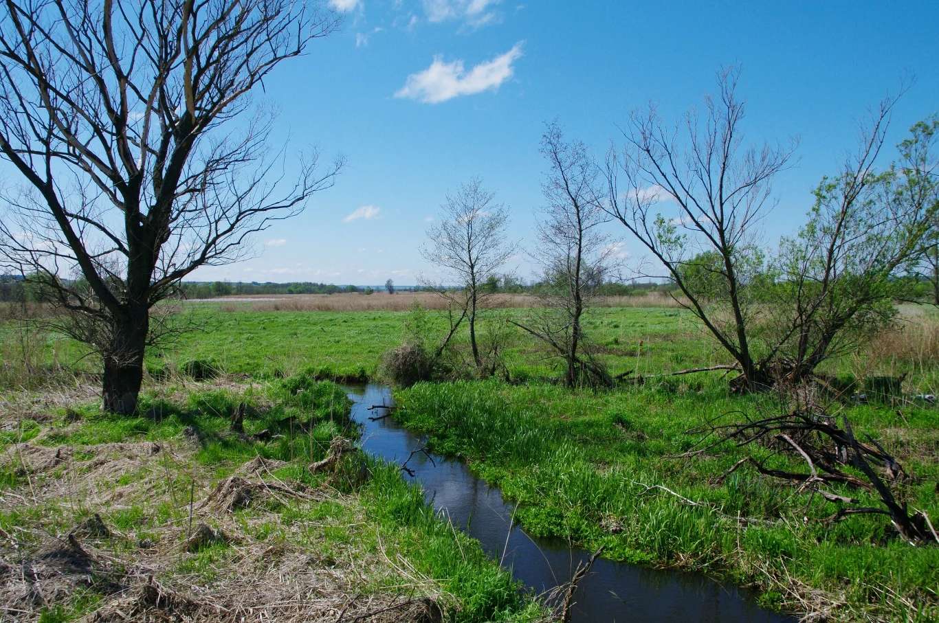 Egy patak folyik át a mezőn kirakós online